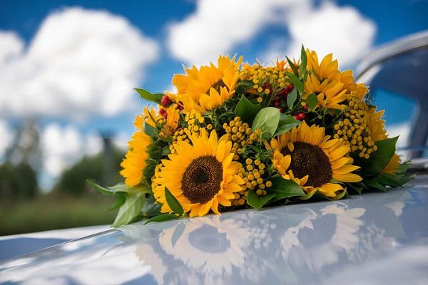 Bảo vệ đôi mắt từ những điều đơn giản nhất